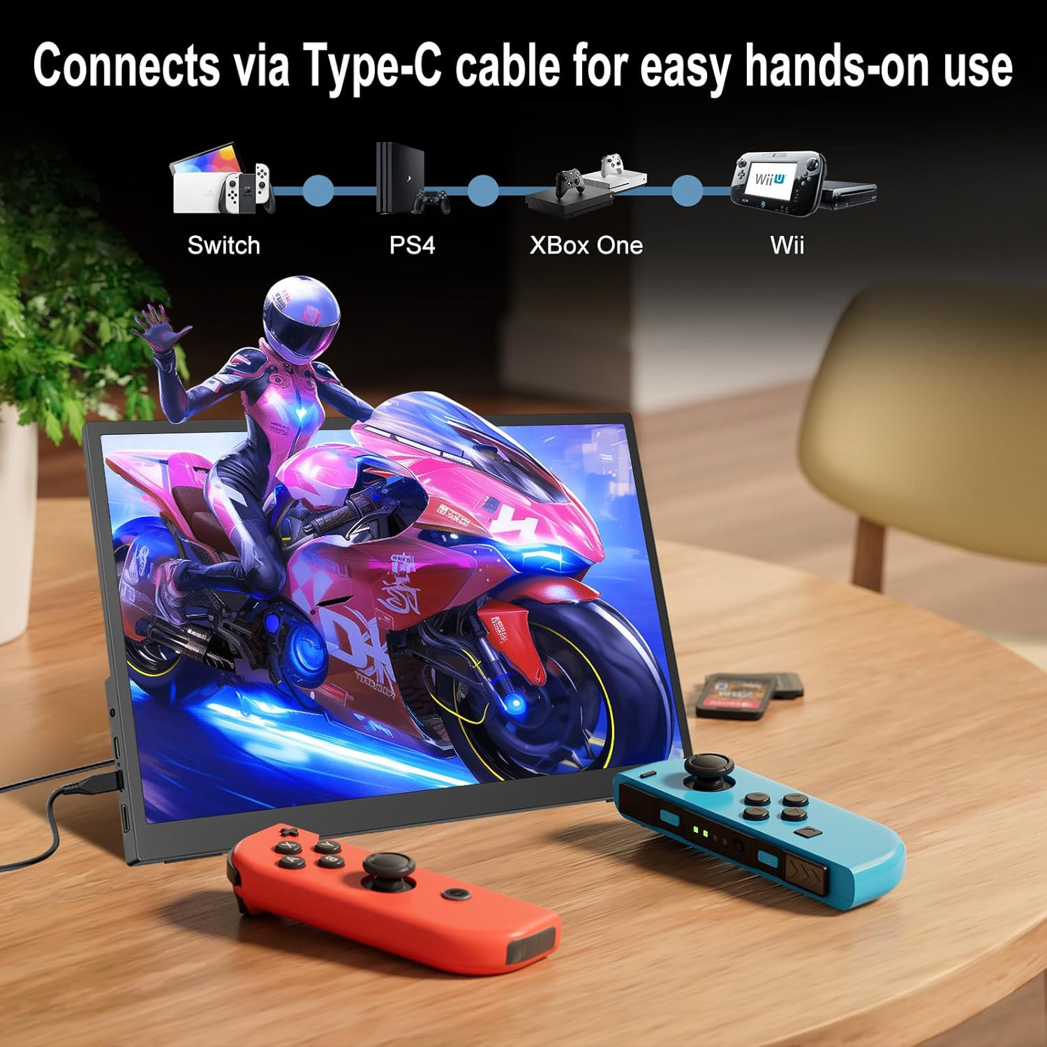17.3 Inch Portable Monitor 160 - Retro Gaming Monitor 评论和价格